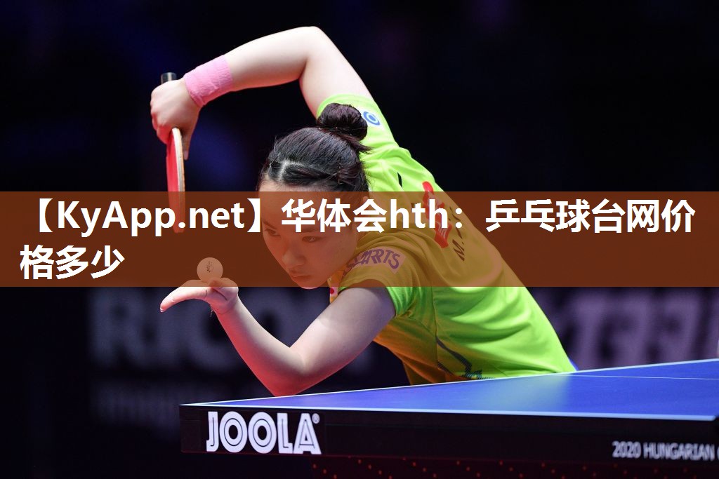 华体会hth：乒乓球台网价格多少