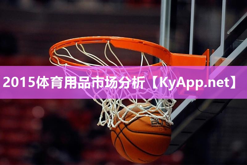 2015体育用品市场分析