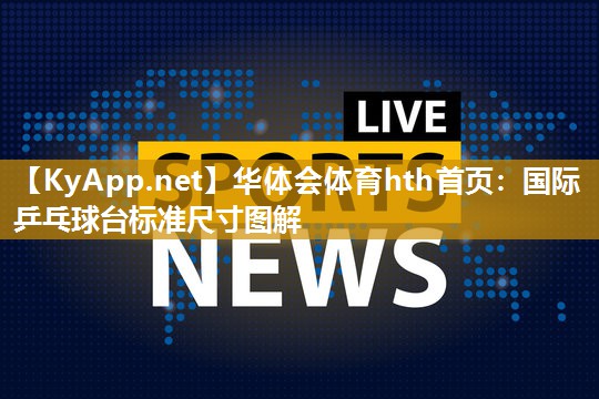 国际乒乓球台标准尺寸图解