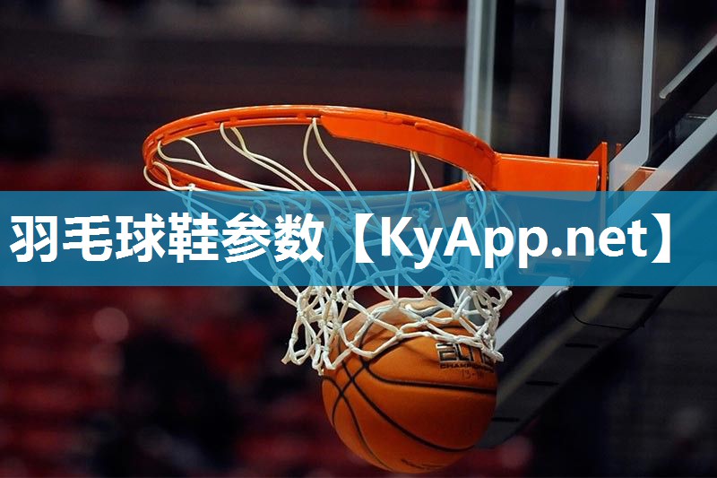 羽毛球鞋参数