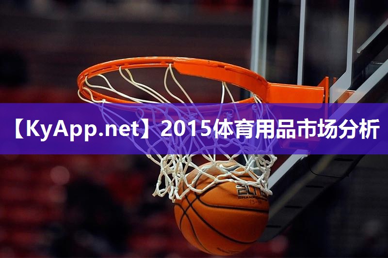 2015体育用品市场分析